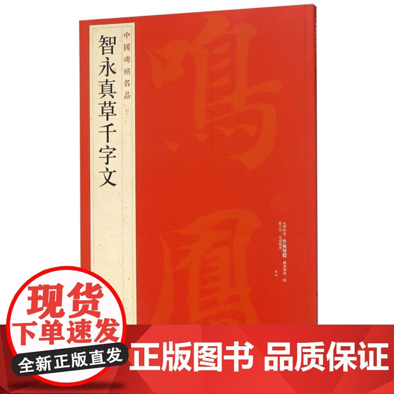 智永真草千字文 中国碑帖名品40大红袍毛笔书法字帖正版图书籍智永楷书字帖书千字文 隋智永真草千字文上海书画出版高清大图