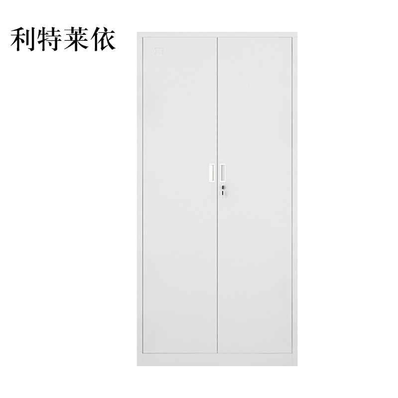 利特莱依钢制文件柜办公资料柜铁皮档案柜带锁储物柜财务凭证柜