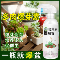 坤宁王优芽素多肉专用促侧芽花卉植物营养液促芽催芽矮胖素爆芽素