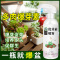 坤宁王优芽素多肉专用促侧芽花卉植物营养液促芽催芽矮胖素爆芽素