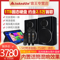 2022InAndOn音王点歌机V20MAX全新固态内置混响触摸屏一体机家庭ktv卡拉OK