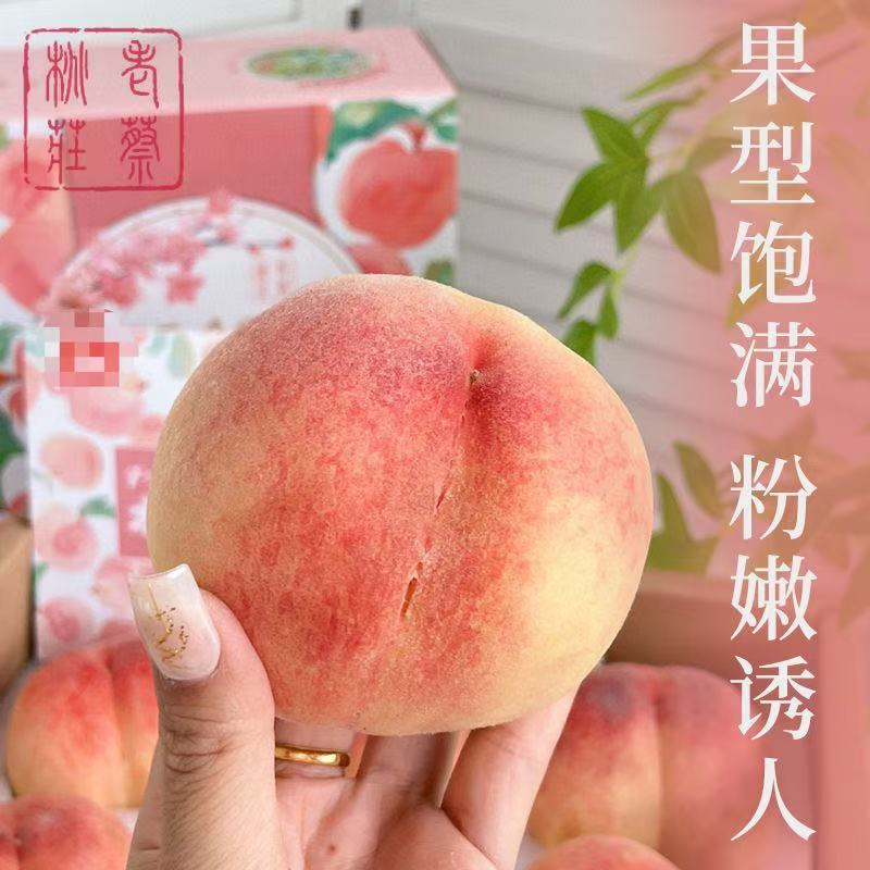 空运发货 江苏无锡水蜜桃 阳山镇老蔡桃庄 可撕皮滴水软桃 新鲜水果 单果8-9两 8只装 礼盒高清大图