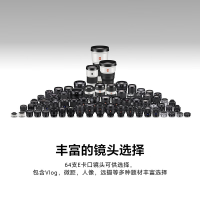 索尼(SONY)ZV-E10L APS-C半画微单 vlog直播4K视频侧翻式液晶屏zv-e10 黑色套机 官方标配(不含内存卡)