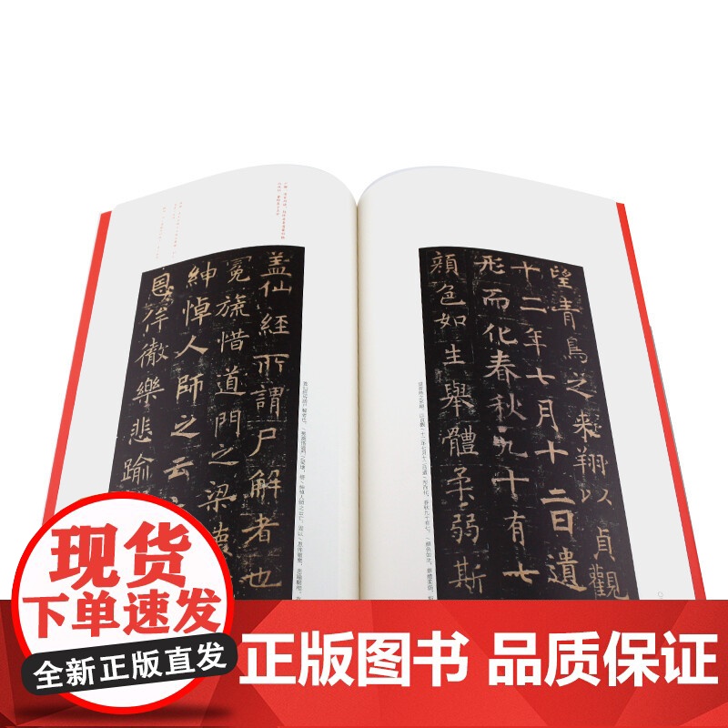褚遂良孟法师碑 中国碑帖名品46大红袍系列碑帖释文注释繁体旁注历代优秀书法作品临摹字帖收藏鉴赏楷书毛笔字帖上海书画出版社高清大图