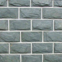 诚智旺 外墙墙砖 20*40cm/块