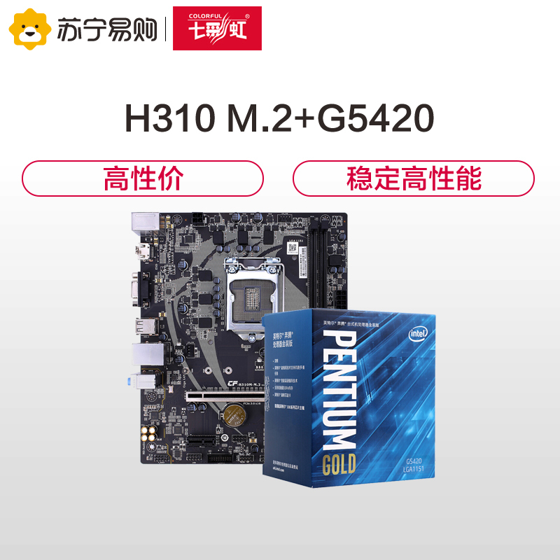 七彩虹战斧H310M-M.2魔音版 V21 游戏主板+intel 奔腾 G5420