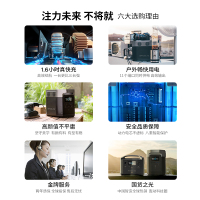 EcoFlow户外移动电源220v 电池1800w大功率 DELTA1300+110W太阳能板