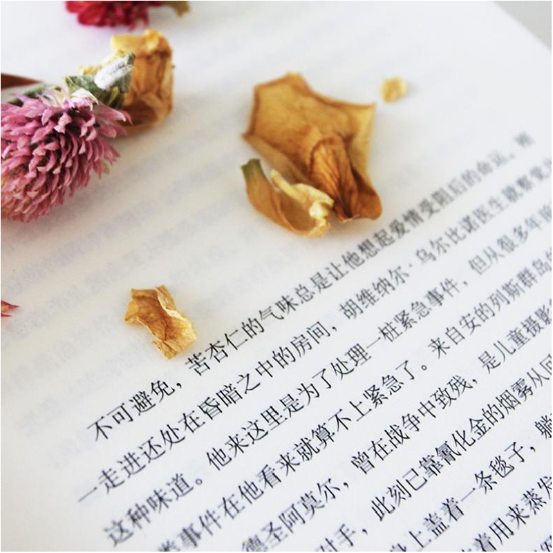 正版新书]霍乱时期的爱情加西亚·马尔克斯9787544277617高清大图