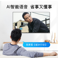 创维(SKYWORTH) 55E33A 55英寸全面屏4K超高清 人工智能电视