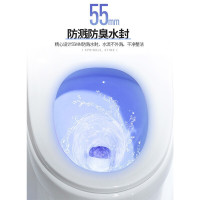 ARROW箭牌马桶 喷射虹吸式连体座便器防臭家用抽水马桶 缓降盖板大冲力坐便器全坑距250/350马桶AE1126