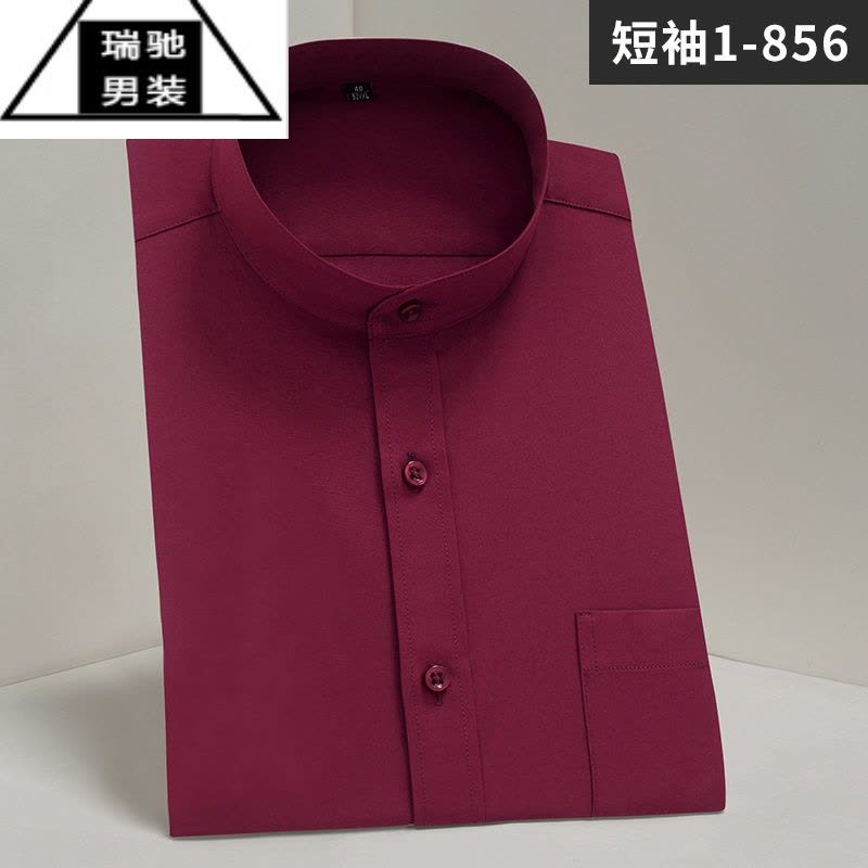 希杰狮王中华立领衬衫男短袖白色商务正装加大中国风中山装圆领半袖衬衣男图片