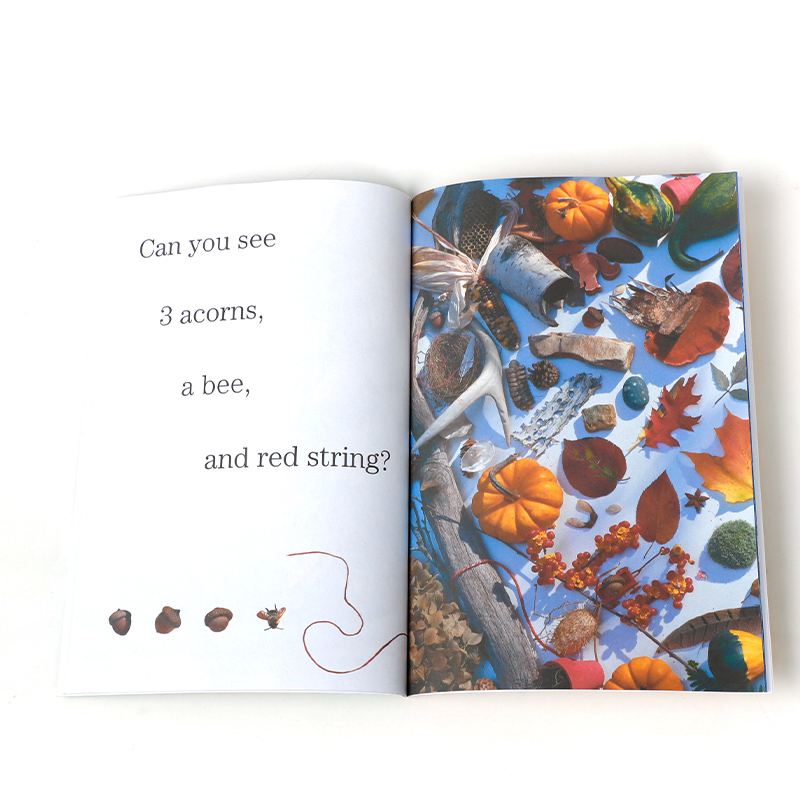 [醉染正版]英文原版 Scholastic:Reader Level 1 学乐读物第1级 系列5本 ‎ Scholast高清大图