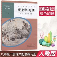 新版 配人教版八年级下册语文配套练习册 8八语文下配套练习册 人民教育出版社 人教版八下语文配套练习册