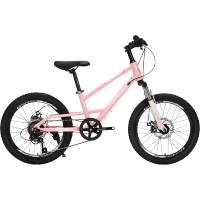 上海永久牌儿童山地自行车中小学生男孩女20寸变速越野设计师款