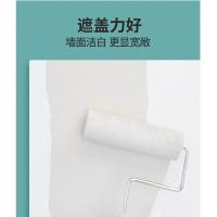 嘉宝莉乳胶漆室内涂料内墙漆白色家用自刷乳胶漆亮丽5合1墙面漆