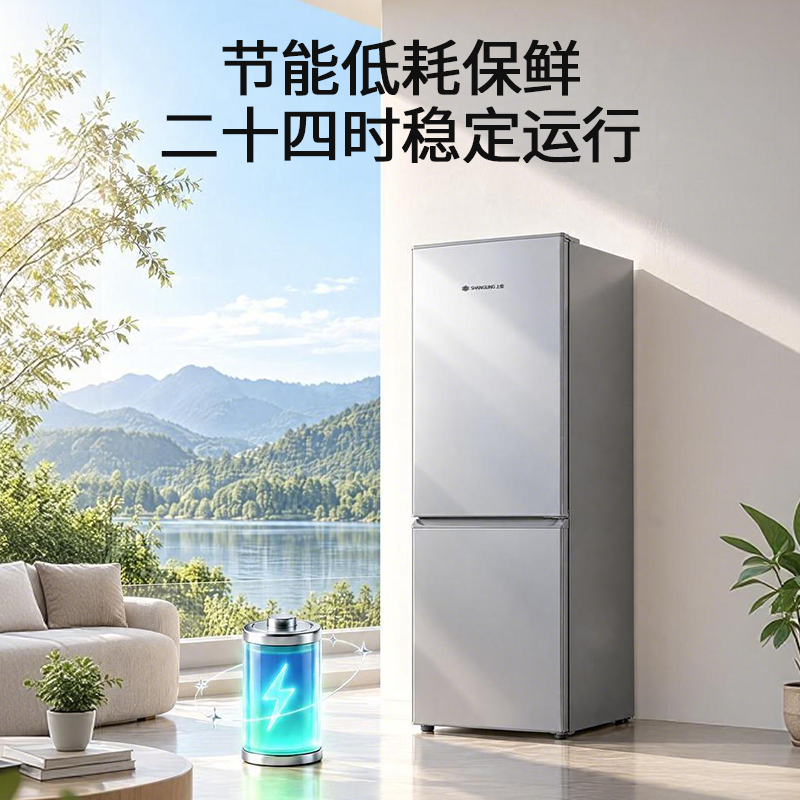 上菱双门冰箱BBM229KL铂银节能省电低温补偿轻音长效锁冷小巧不占地宿舍租房小型家用电冰箱