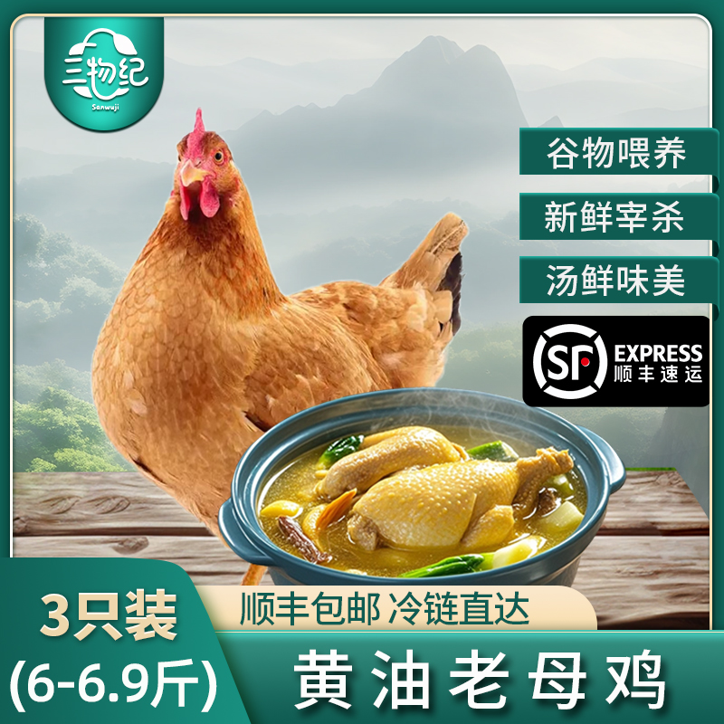 【苏鲜生推荐】三物纪 正宗皖南黄油老母鸡2-2.3斤/只 3只装 新鲜现杀整鸡净膛冷冻竹林慢养走地鸡