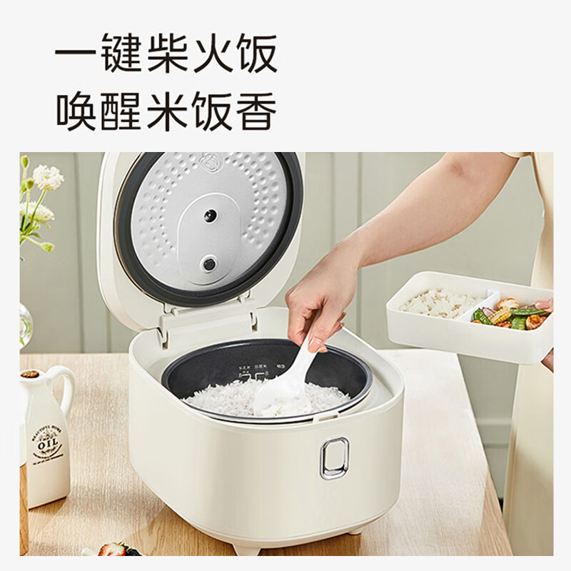 美的电饭煲MB-AFB4051R高清大图