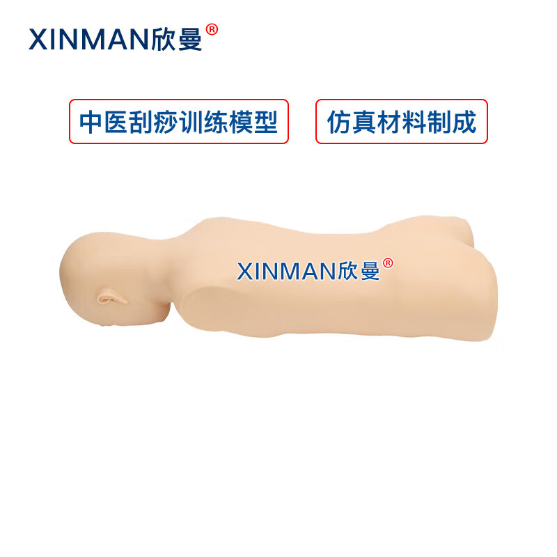 欣曼科教 中医刮痧训练模型 刮痧练习模拟人 中医教学用人体模型高清大图