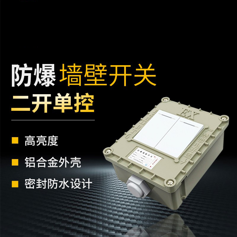 汇特益 防爆开关 220V 10A 防爆墙壁开关防爆等级 ExIIBT6 二开单控(单位:个)