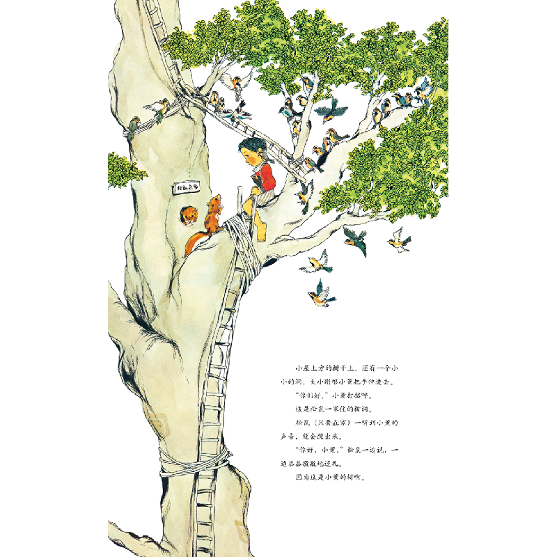 诺森想要一棵好大的树(精)(日)佐藤晓著9787530771068新蕾出版社