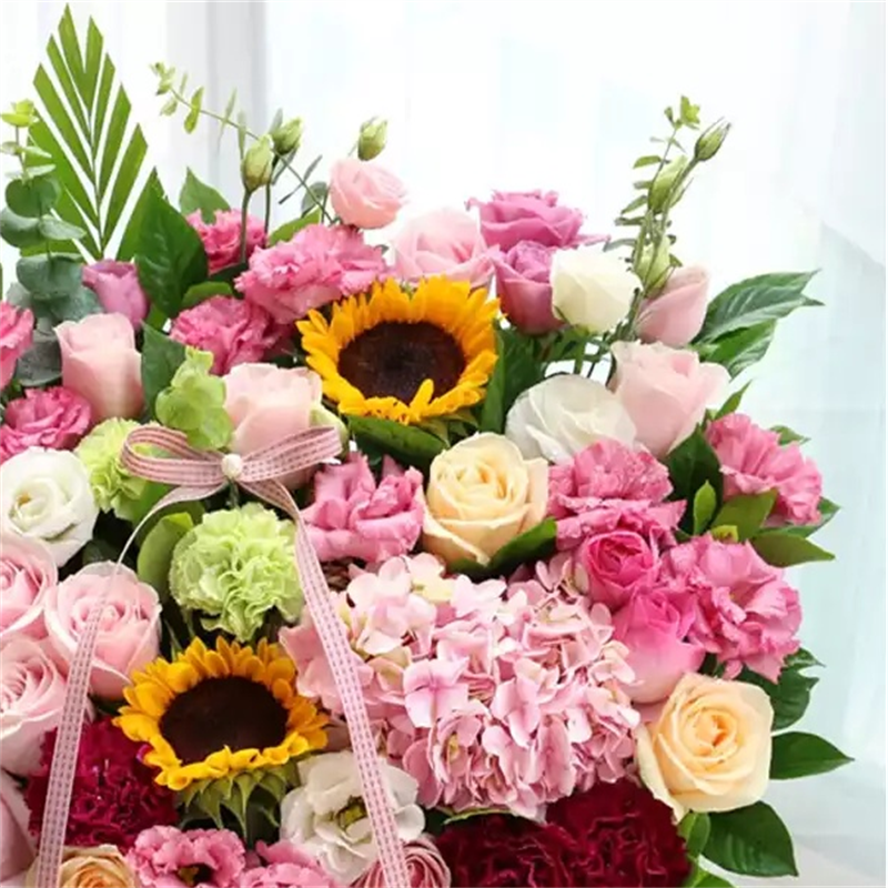 采蝶轩康乃馨向日葵混搭手提花篮绣球乔迁开业花篮速递同城全国生日