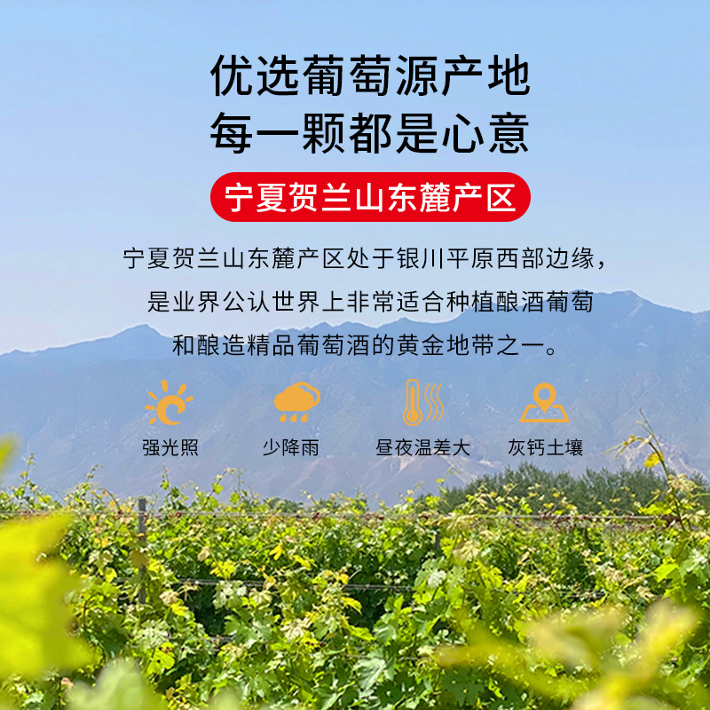 苏宁宜品自营 宁夏红酒 蛇龙珠干红葡萄酒750mlx6瓶 国产红酒整箱
