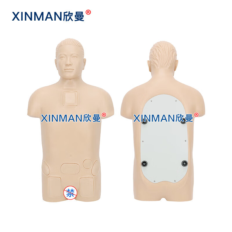 欣曼科教 骨髓穿刺模拟人 骨髓穿刺训练模型 医学教学人体模型XM-1011高清大图