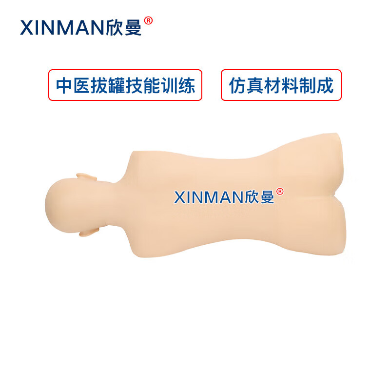 欣曼科教 中医拔罐训练模型 拔罐练习模拟人 中医教学人体模型高清大图