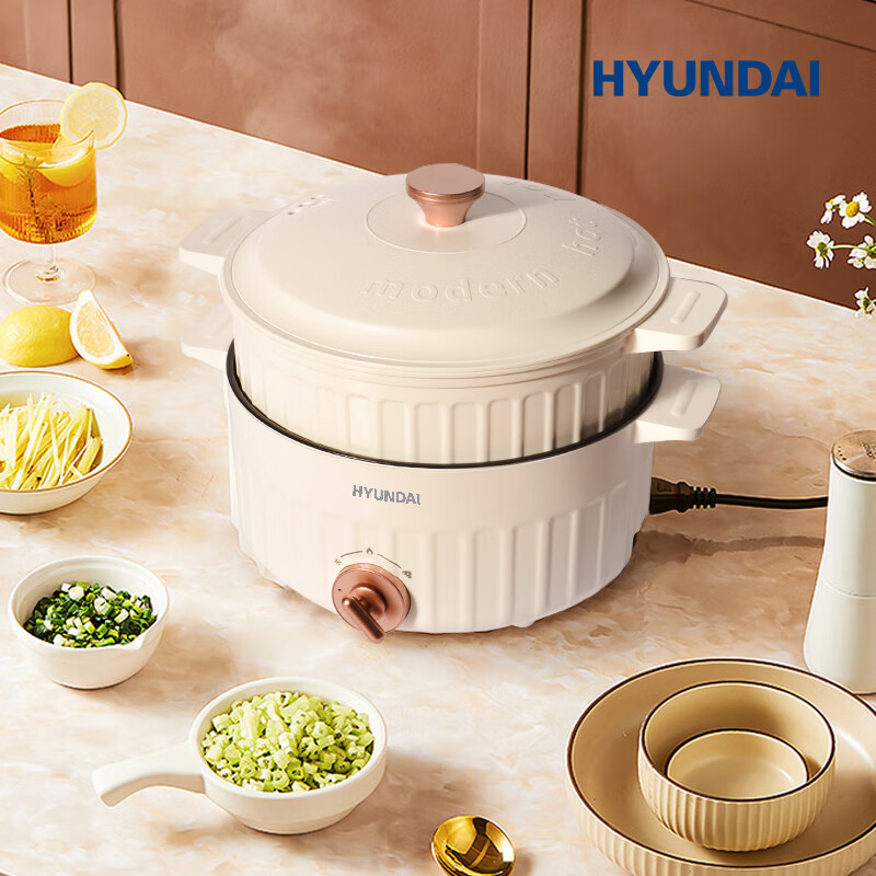 现代HYUNDAI 多功能蒸煮电火锅2L TS-20D高清大图