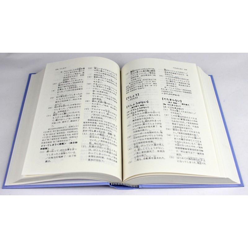日本语句型辞典