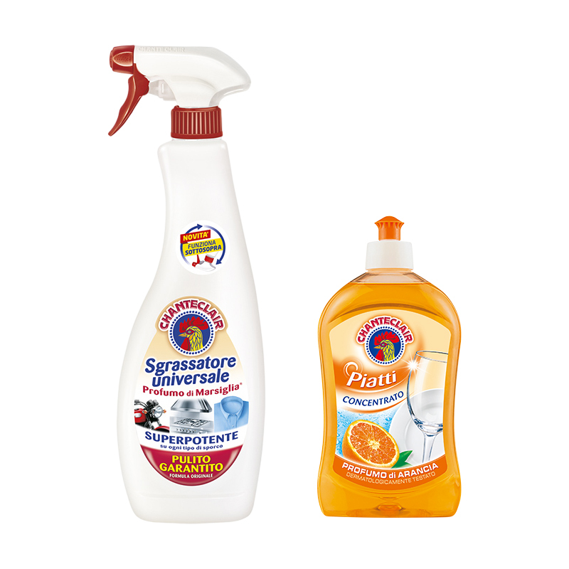 大公鸡管家二件套 清洁套装二件套 多能油污净600ml +浓缩洗洁精500ml