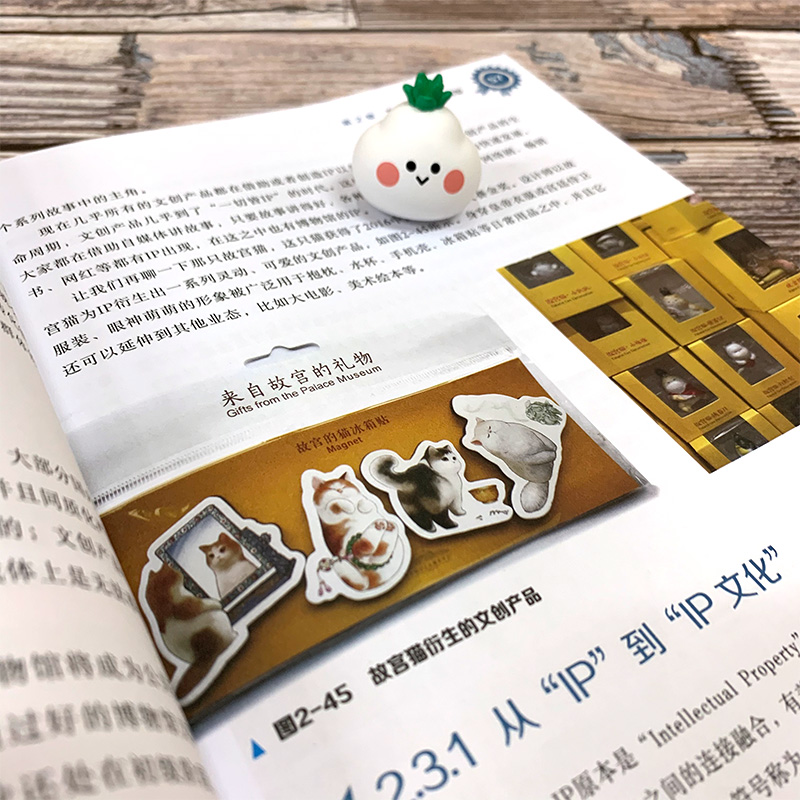 [正版]文化创意产品设计及案例 张颖娉 主编 文化创意产品设计书籍 文化创意产品概念类型 设计流程与方法 设计师参考手高清大图