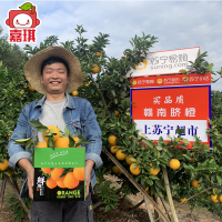 【嘉琪】江西赣南脐橙 新鲜橙子生鲜 赣州甜橙