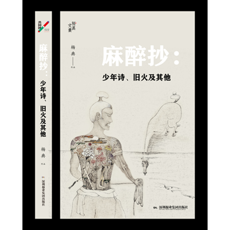 醉染图书麻醉抄:少年诗.旧火及9787807098331高清大图
