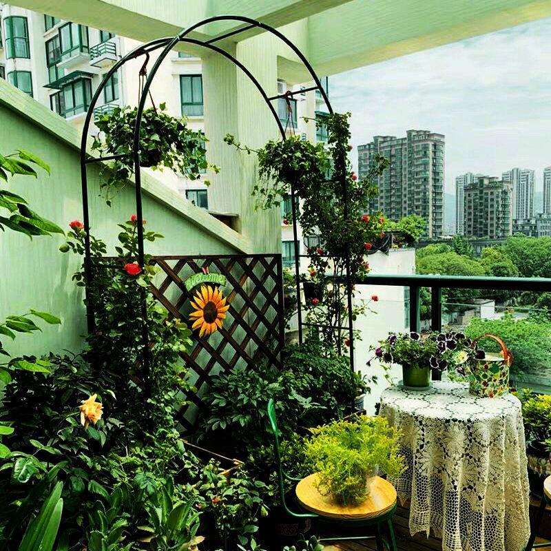 铁艺花架爬藤架花园别墅阳台植物支架铁线莲户外月季葡萄架拱