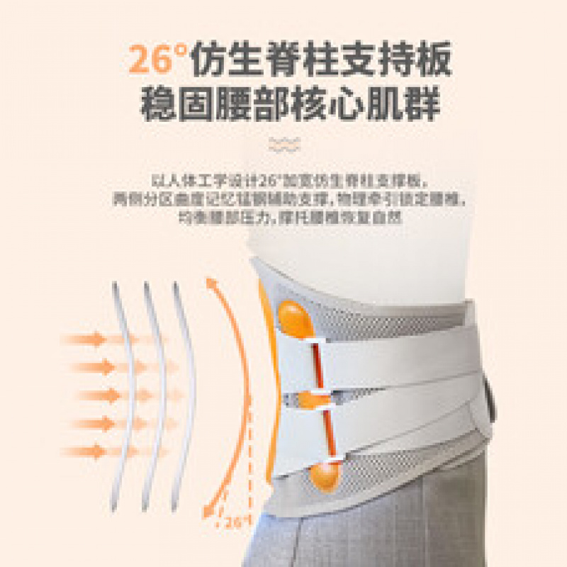 摩飞医用支撑护腰带腰部固定器腰椎间盘突出腰肌劳损腰部固定器 L(常规款)LG-YB02高清大图