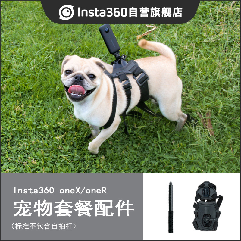 Insta360 宠物专用配件套餐 全景相机运动相机配件-不含自拍杆运动管 (适配ONE X2/ONE R)