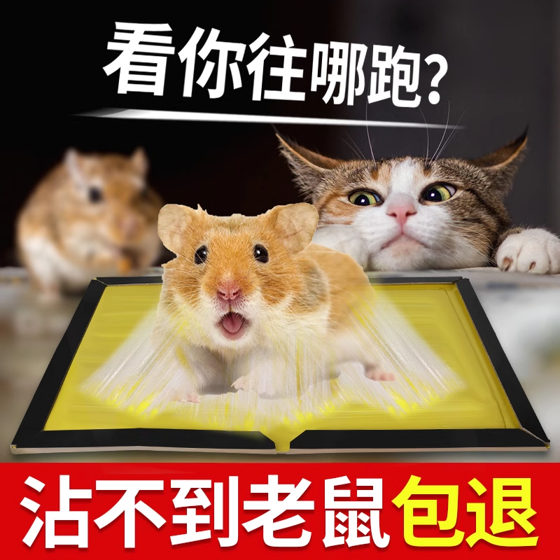 兴洽粘鼠板10枚高清大图