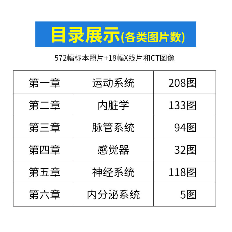 [醉染正版]全彩人体解剖学图谱 第2二版 解剖速记医生用书人体结构彩色书军事医学科学出版社中英文双语对照标识人体解刨学图高清大图