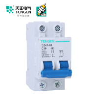 天正电气 空气开关 DZ47-63 2P C 20A 4.5KA 01060020256 微型断路器