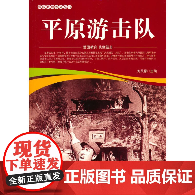 爱国教育系列丛书--平原游击队高清大图