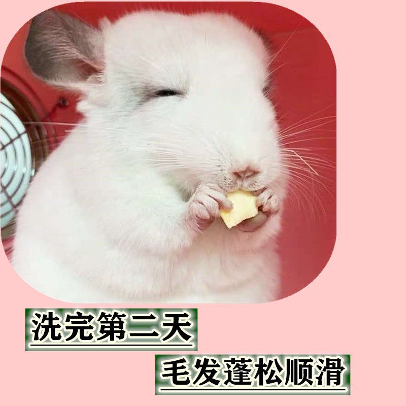 滤砂网 龙猫洗澡浴沙浴盐杀菌浴砂接近蓝云火山灰浴沙龙猫用品
