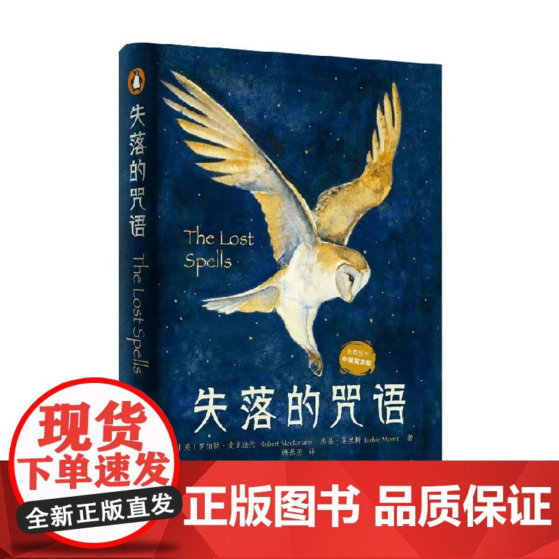 失落的咒语 罗伯特·麦克法伦等 著 文学高清大图