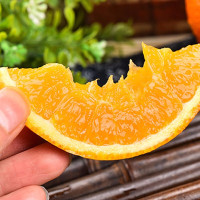 苗家十八洞 湖北秭归纽荷尔 脐橙10斤装大果（带箱） 单果果径75-80mm 时令生鲜水果橙子坏果包赔