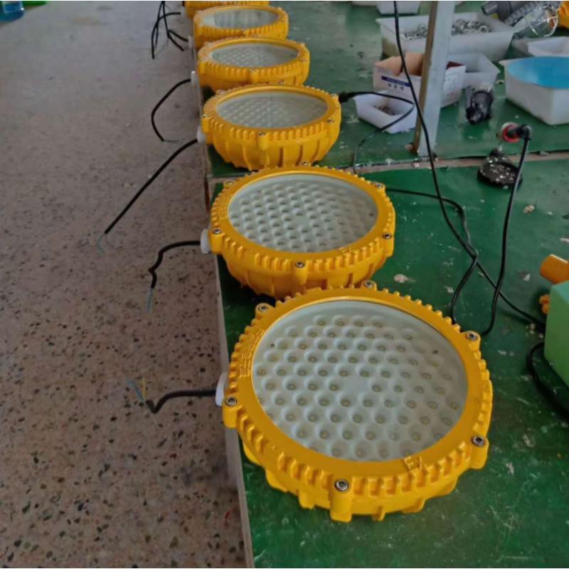 DINT 防爆LED吸顶灯 BDE53X-02 20W