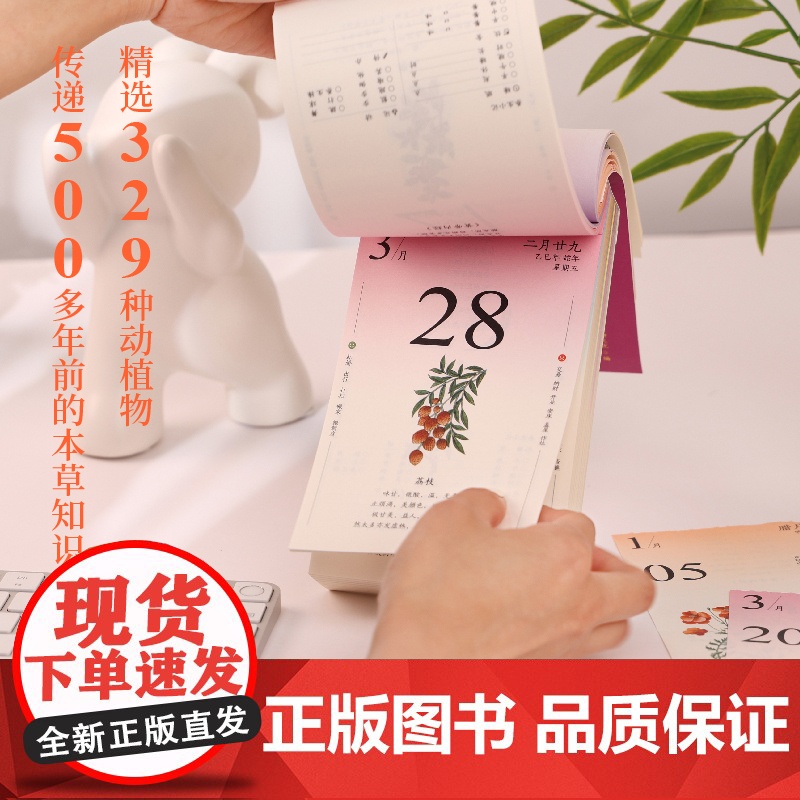 顺时而养日历 2025年 高颜值手撕双面养生日历 706条养生建议 365张精美插图 14部医学典籍 24个节气 24首高清大图