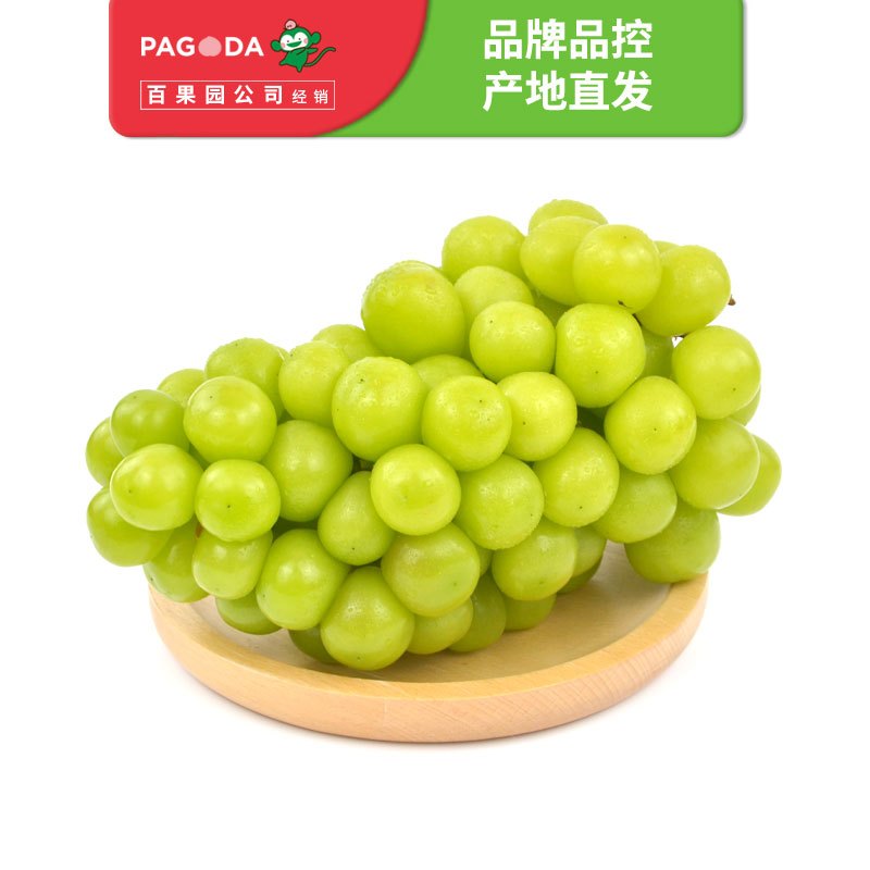 百果园公司 A级-阳光玫瑰青提(大果)3斤礼盒装 时令青提葡萄提子