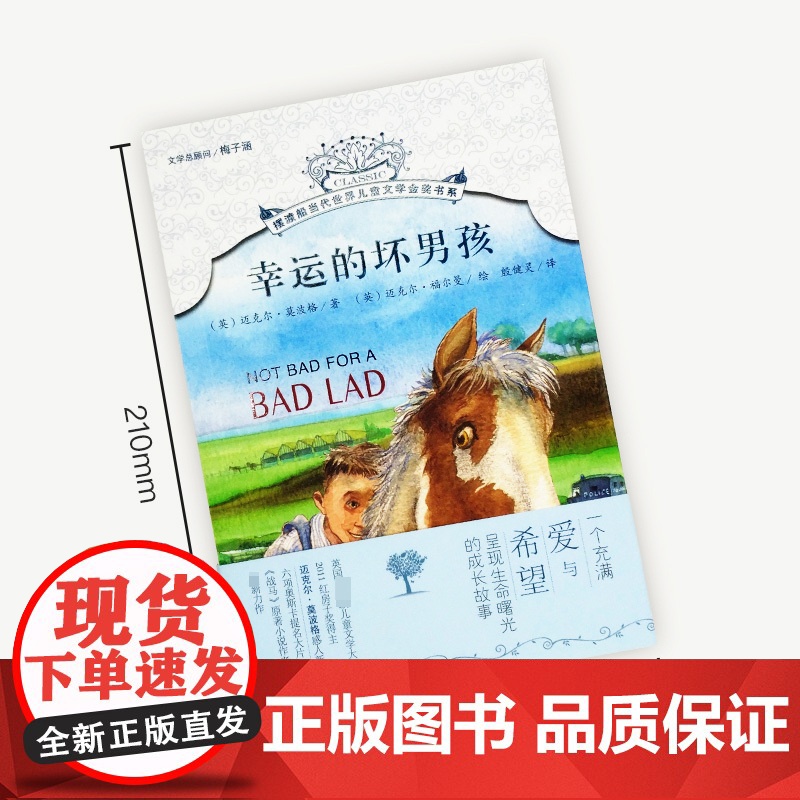 真实男孩 摆渡船当代世界儿童文学金奖书系 安妮乌尔苏 著 8-12岁儿童读物三四五六年级小学生课外阅读书籍书目寒暑假高清大图