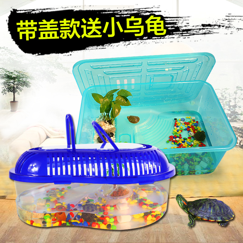 乌龟缸带晒台 小鱼缸养乌龟专用缸塑料手提盆水陆缸 送小乌龟高清大图